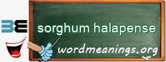 WordMeaning blackboard for sorghum halapense